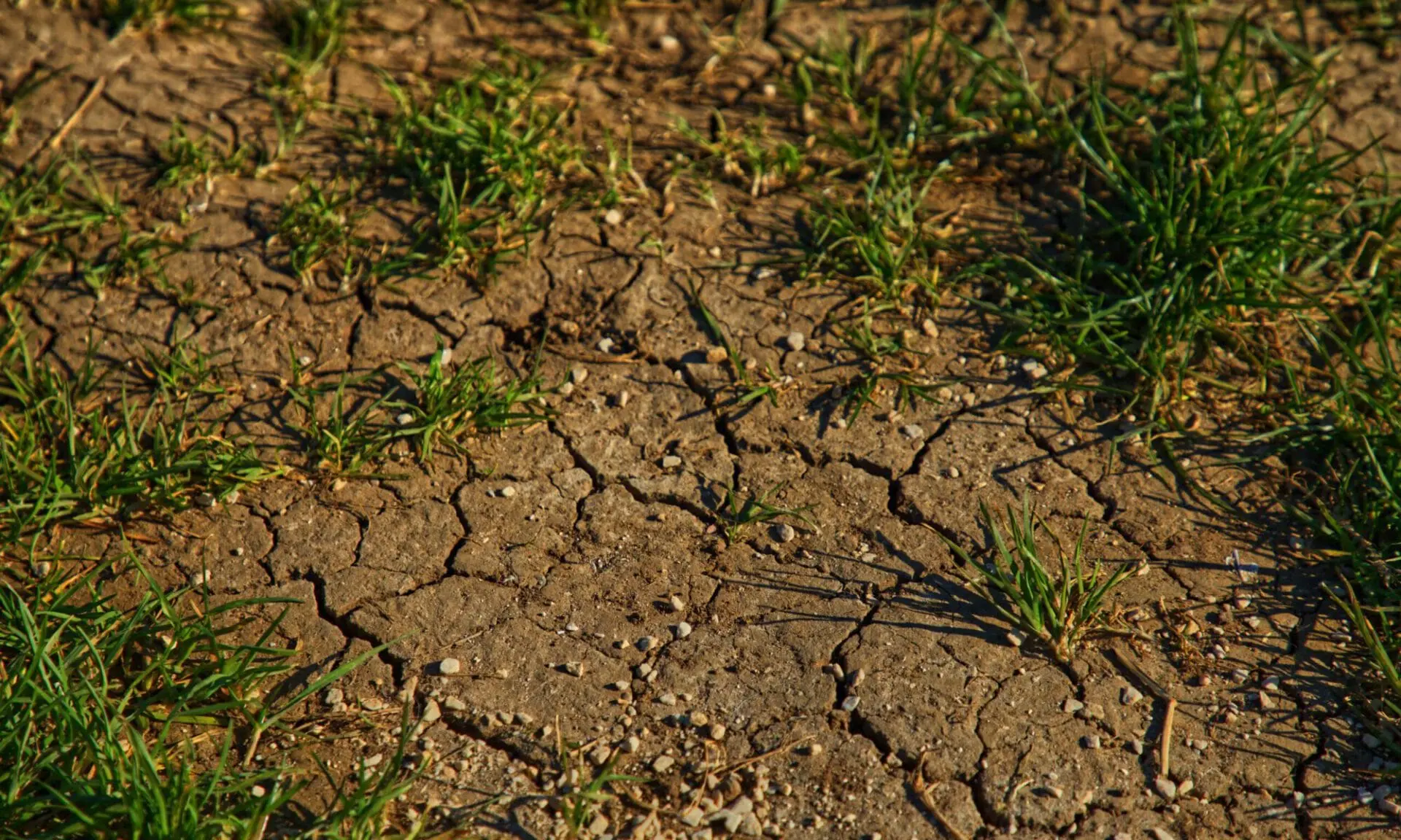 Bau und Geotechnik Niggl